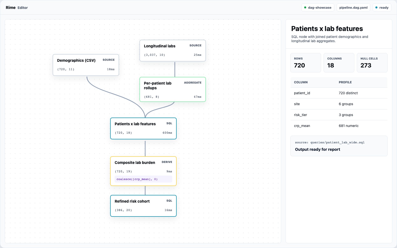 Rime Editor DAG focus screenshot showing the dag-showcase pipeline and node inspector.